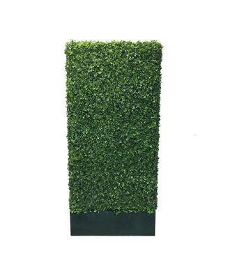 Box Hedge 7'